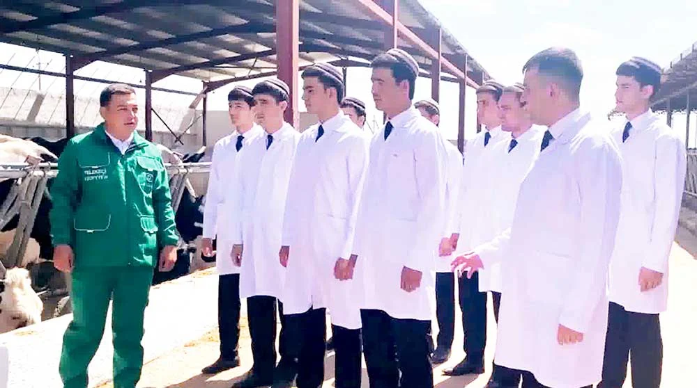 Tejribelikler guramaçylykly geçirildi